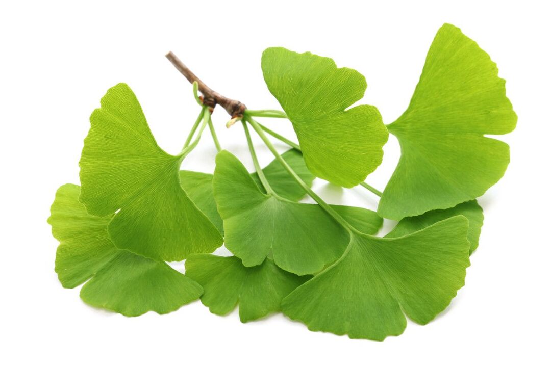 ginko biloba u kapima Alcozar